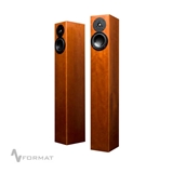 Picture of Totem Acoustic ARRO