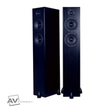 Picture of Totem Acoustic Bison Twin Tower