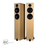 Picture of Totem Acoustic Bison Twin Tower