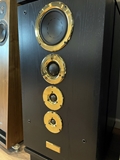 Picture of Dynaudio consequence mk2 black