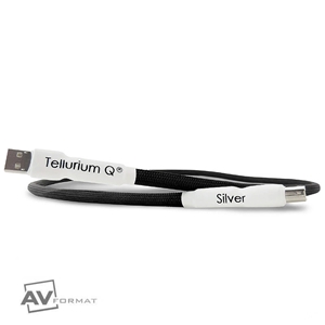Picture of Tellurium Q Silver USB